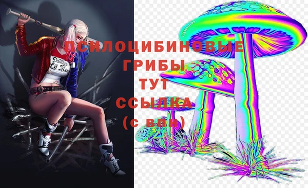 шишки Красноперекопск