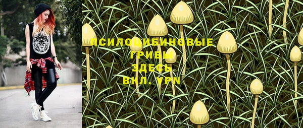 ПСИЛОЦИБИНОВЫЕ ГРИБЫ Куйбышев