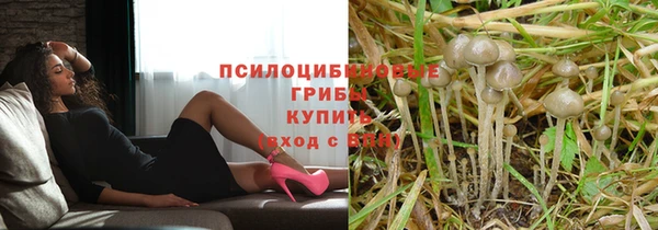 шишки Красноперекопск