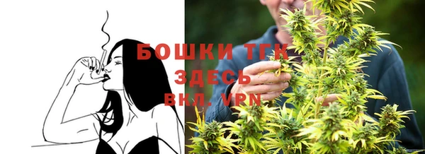 мдпв Краснотурьинск